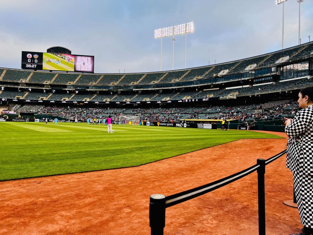 Image of Oakland Roots SC Dugout seats